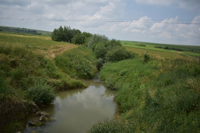 Pârâu cu mal înierbat și dealuri în fundal